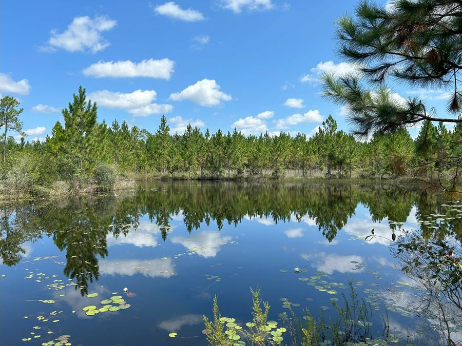 Dunn Creek Tract