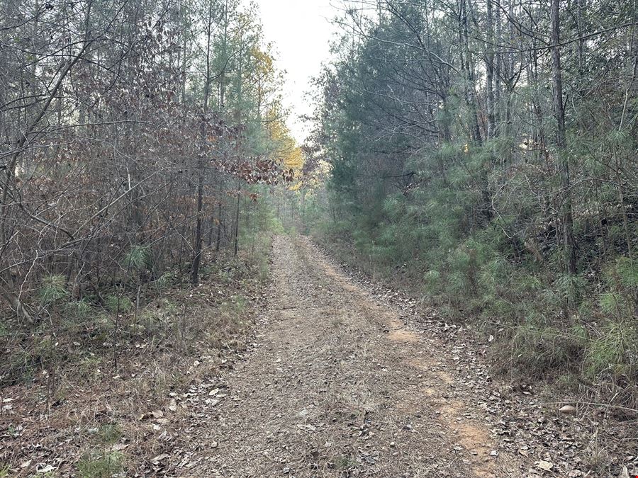 Mt Zion Road - 34.26 Acres