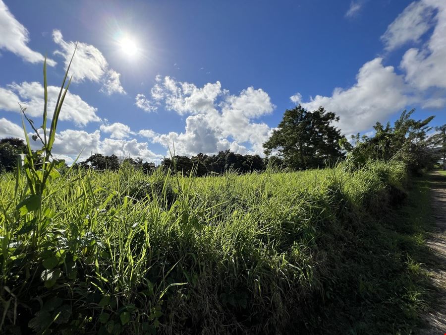 Las Piedras Industrial Park - Vacant Lots 12 & 13 - For Sale