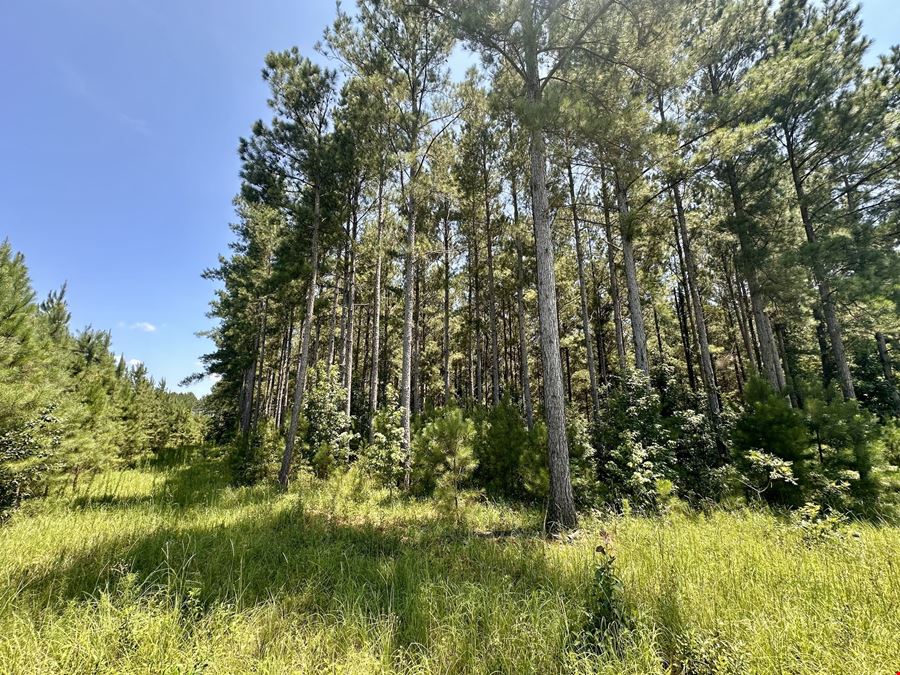 East Fork Ranch & Timber