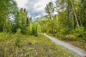 Alpine Trail and Burma Road