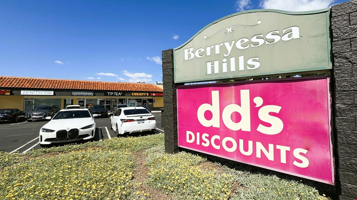 Berryessa Hills Shopping Center
