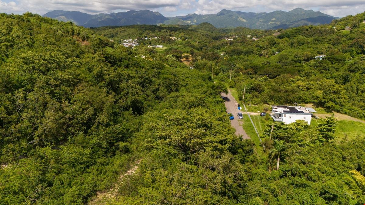 18.36 Acre Agricultural Land @ Ponce, Canas Ward - For Sale