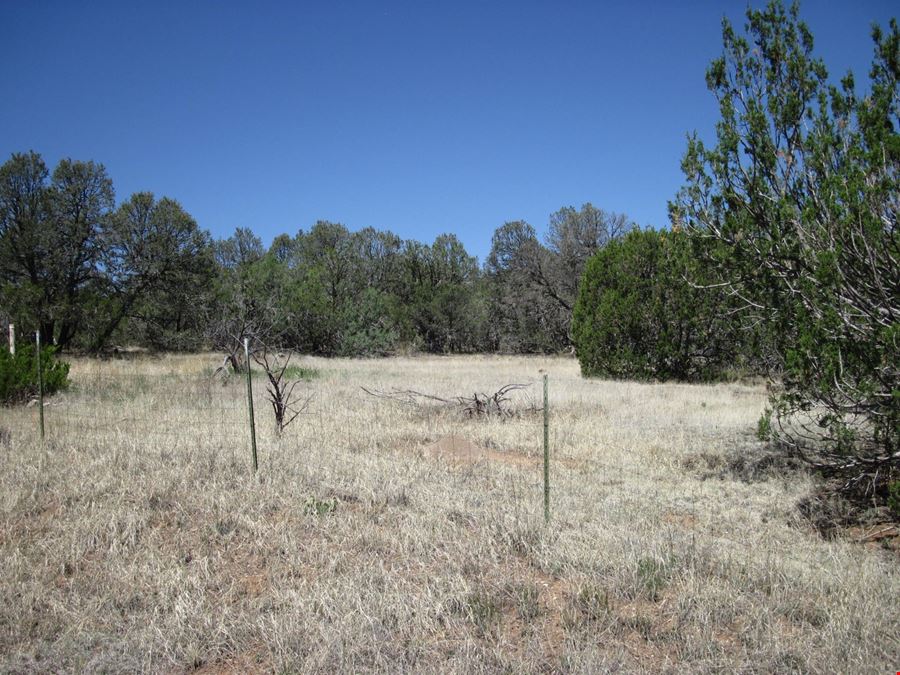 156 Jesse James Rd