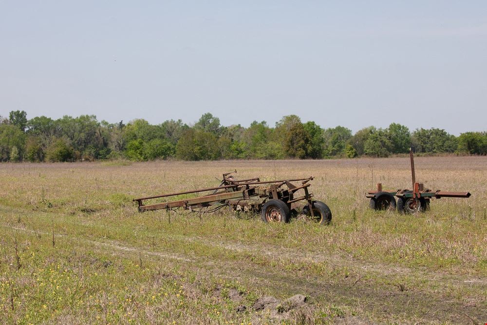 Alachua FarmLife