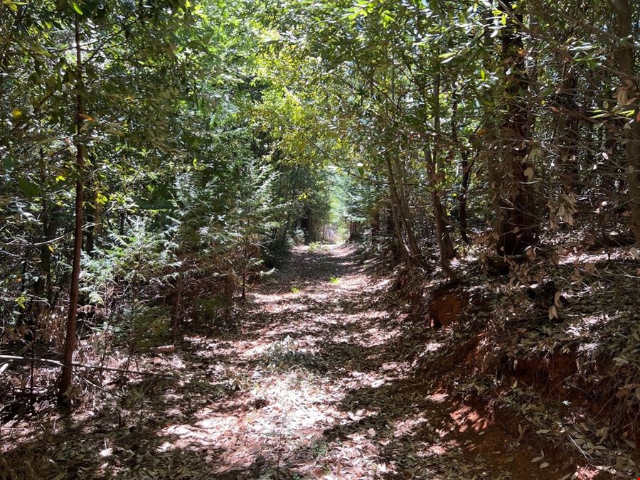 ±10 Acres of Level Land in Forbestown, CA