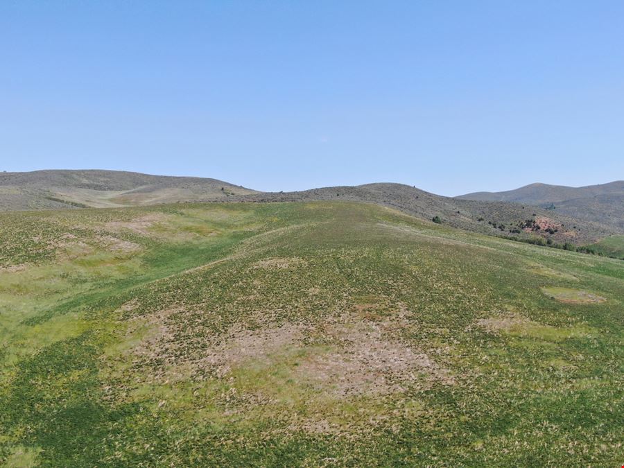 694.8 Acres TBD West Pocatello Creek Road