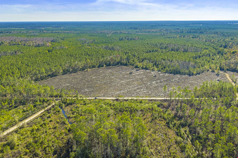 Clay County Timber and Recreation