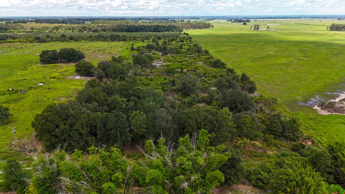 Hopkins Lane 7 Acres