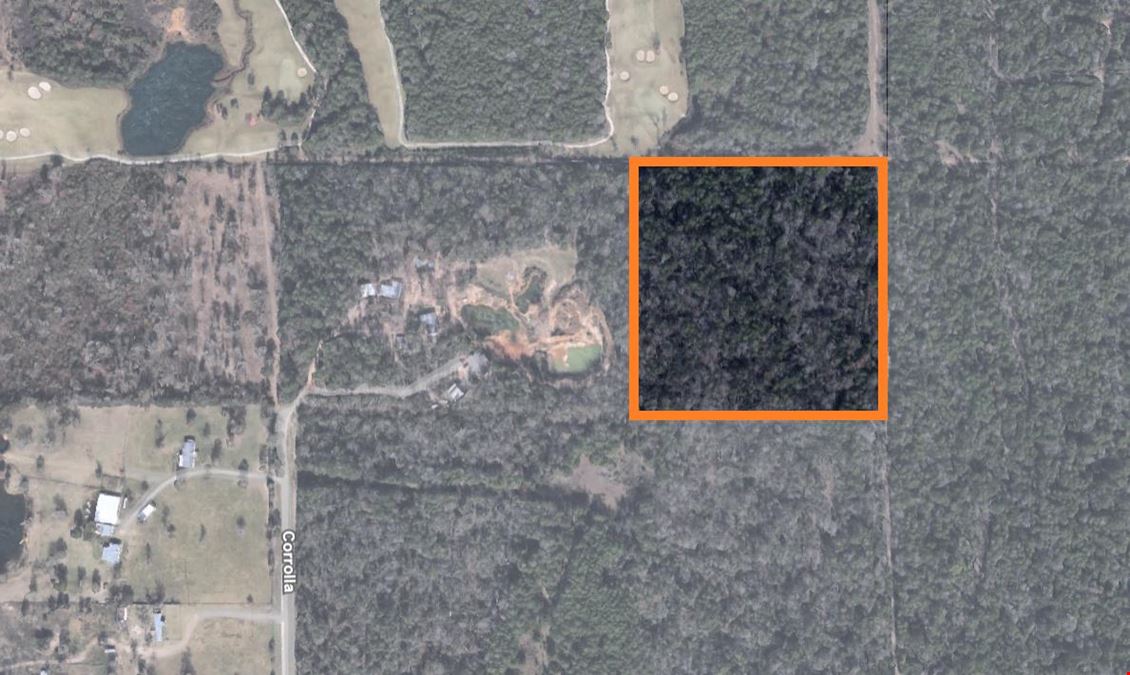 10ac in Magnolia/The Woodlands