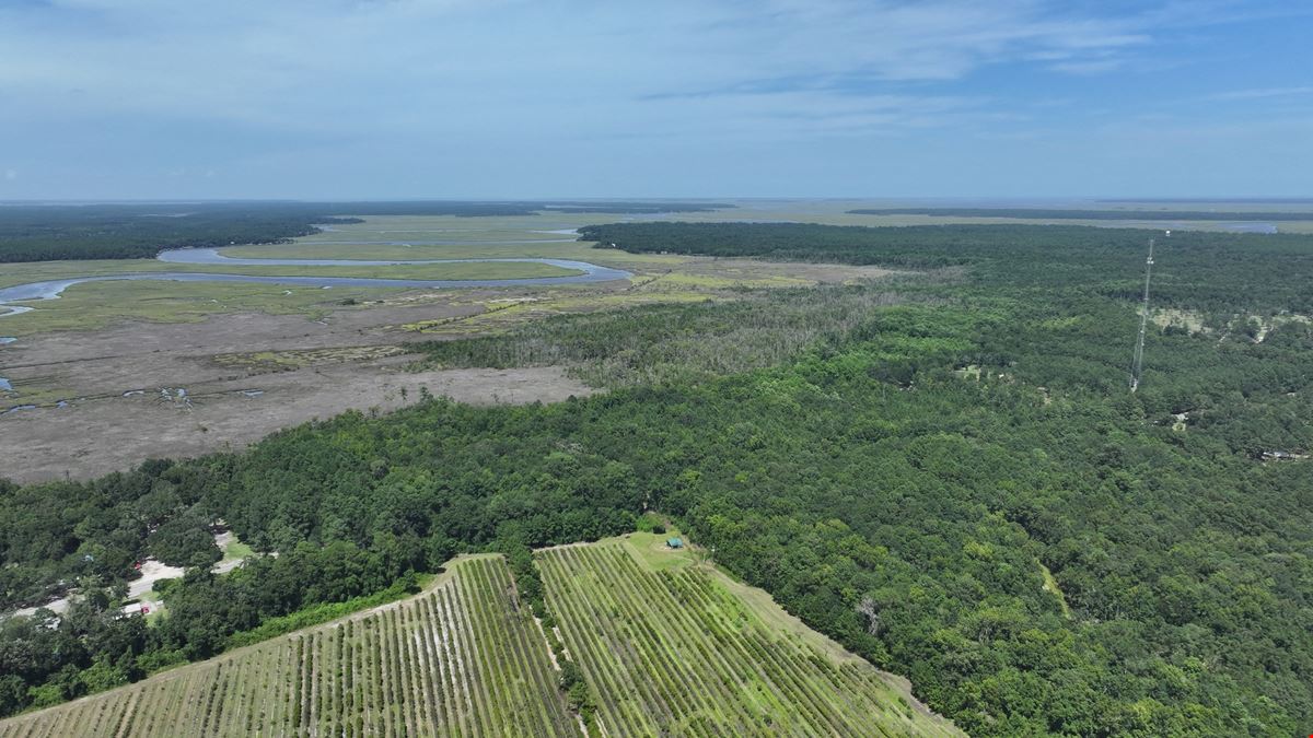 113 Marshfront Acres in McIntosh County Georgia