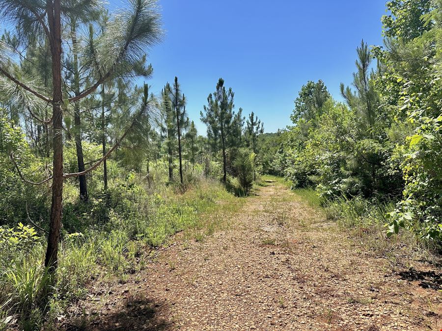 Longleaf Ridge