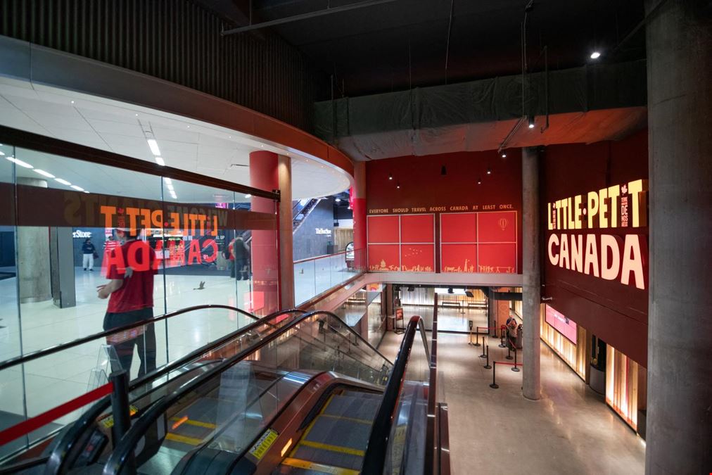 The Tenor - Retail