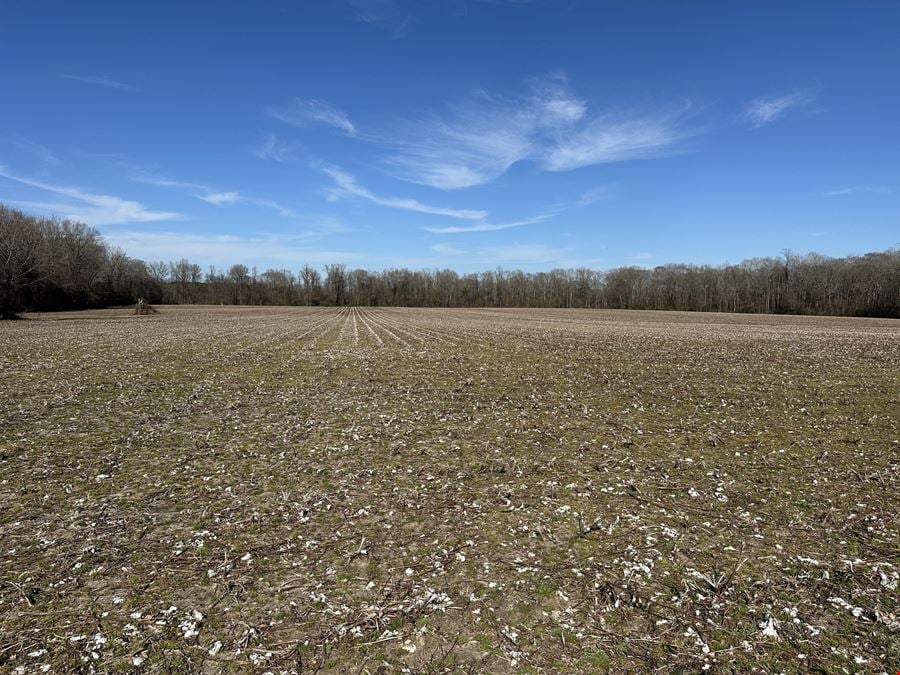 Ross Road 86 Acre Tract