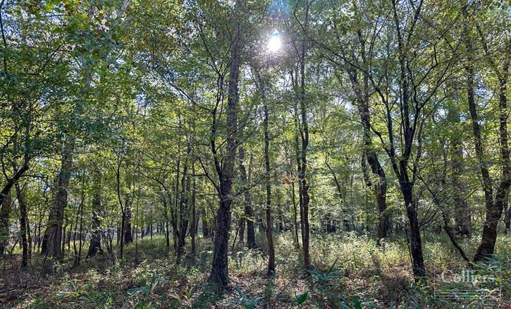 ±120.19-Acre Timber & Recreational Tract Available | Winnsboro, SC