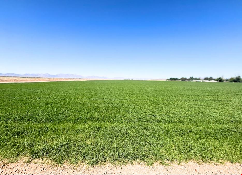 Excellent Vegetable Farmland: ±110 Water Acres in Wellton