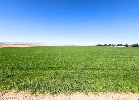 Preview of VacantLand space for Sale at Excellent Vegetable Farmland: ±110 Water Acres in Wellton