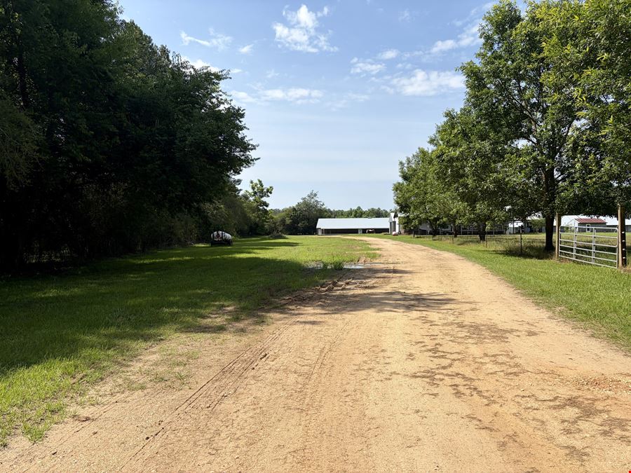 South Butler Springs Mini Farm