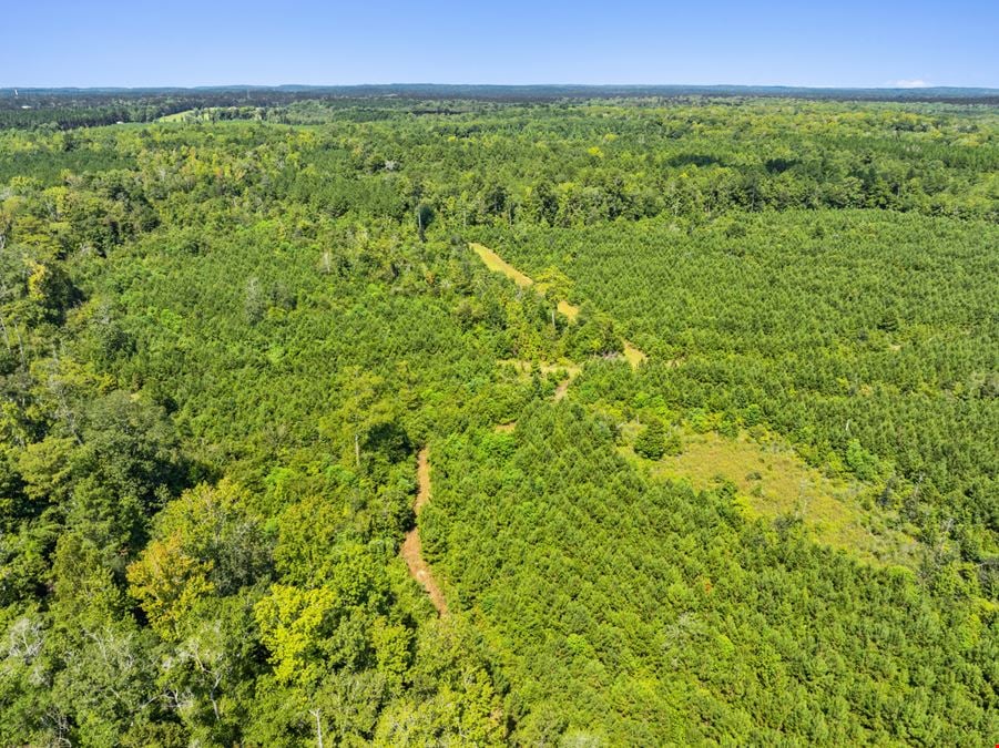 Recreation Land for Sale