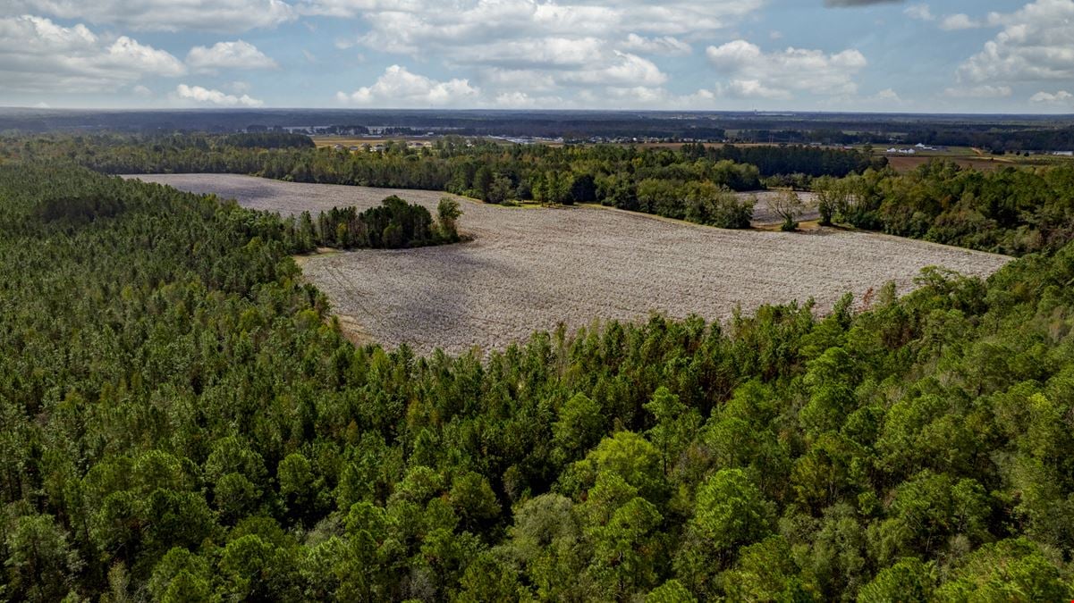 Old Magnolia Farm