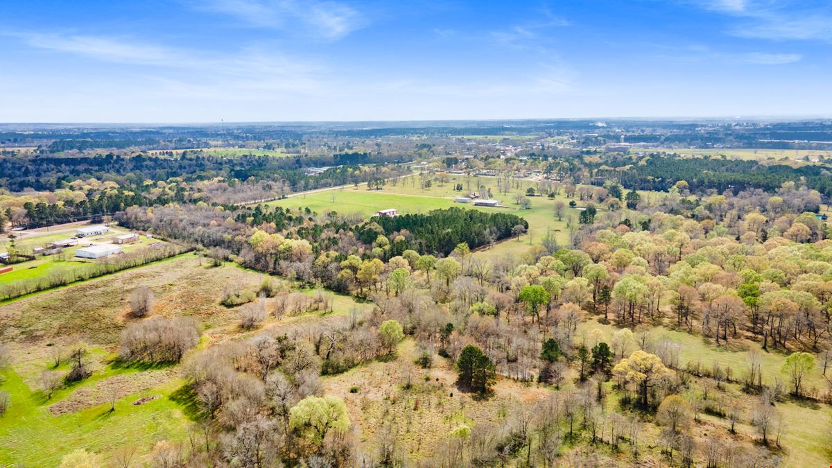 ±80 Acres For Sale | Prime Land Opportunity in New Waverly, TX