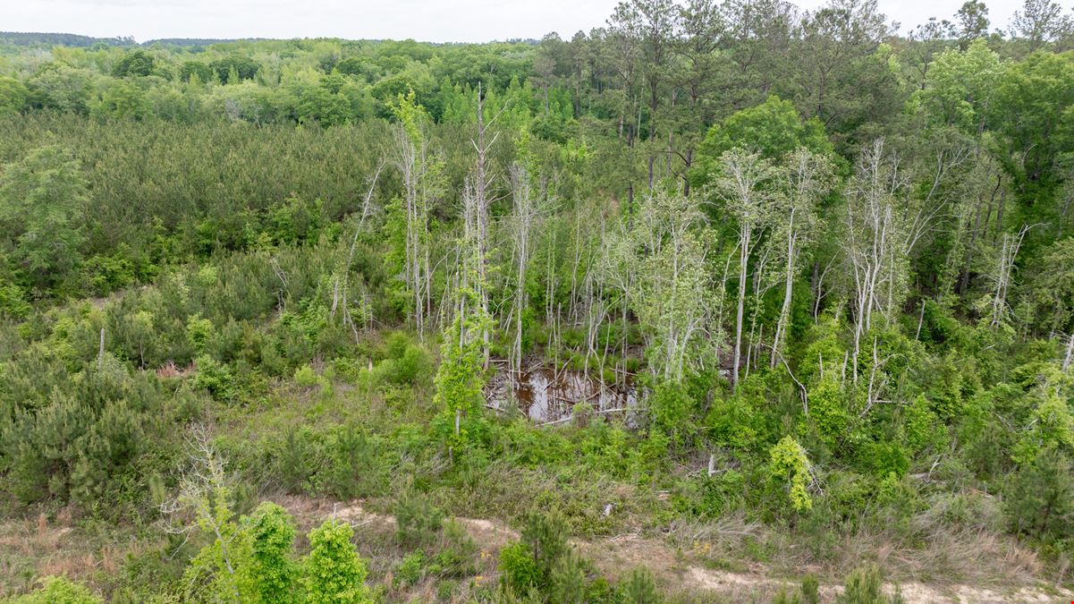 Buck Creek Hunting Property