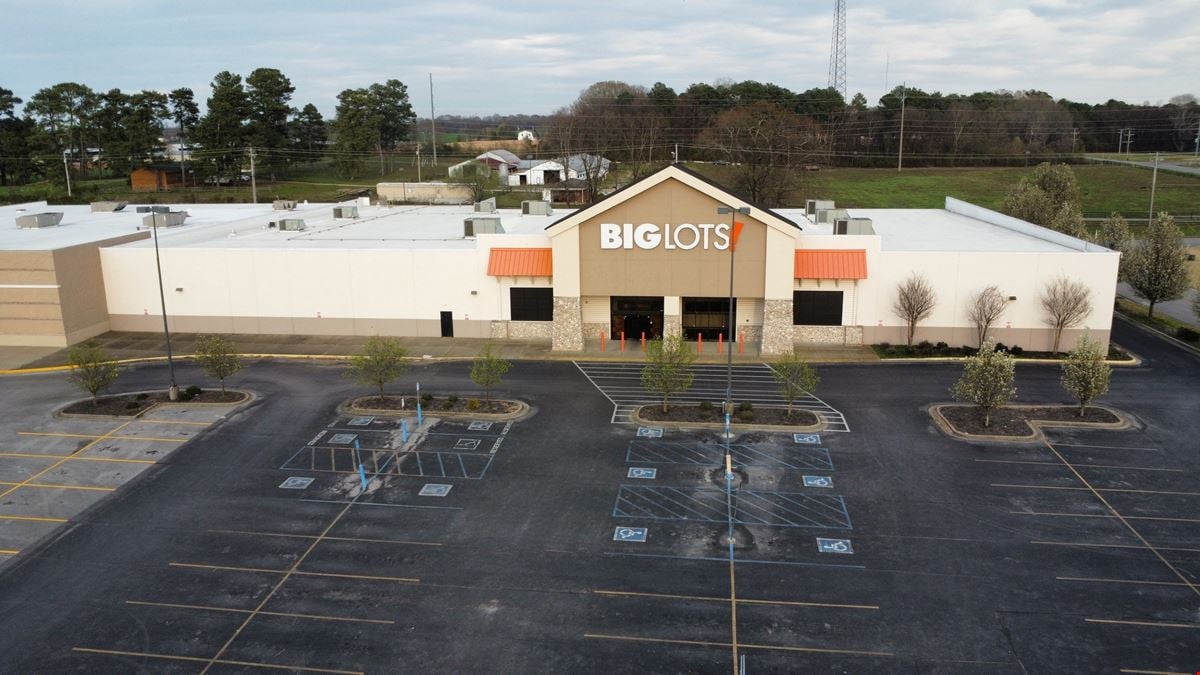 Big Lots - Florence, AL