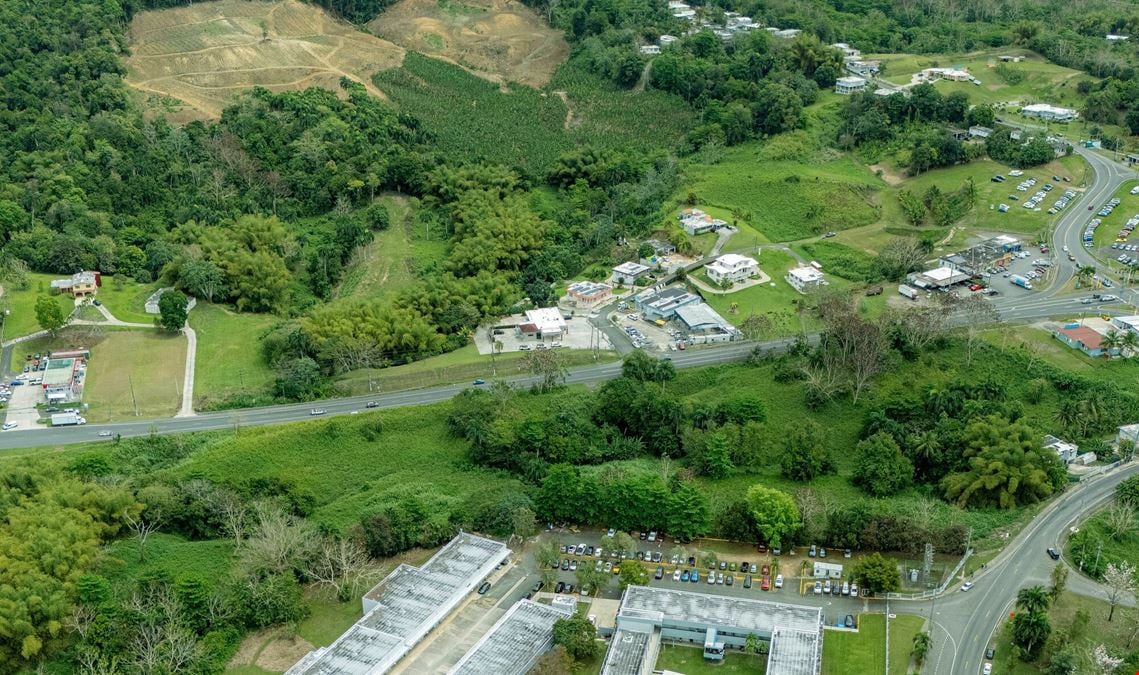 Prime Commercial Land in San Sebastian with Frontage To PR-111 - For Sale