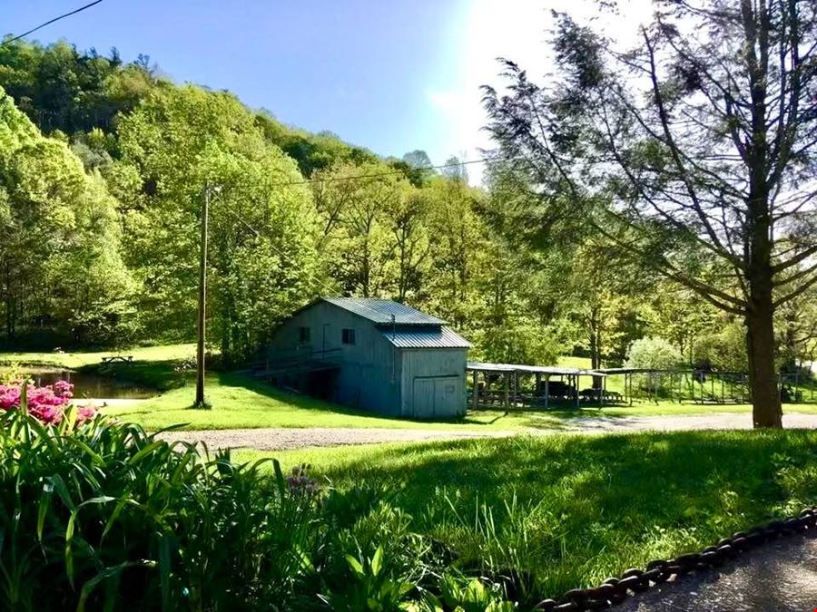 Blue Ridge Gem Mine