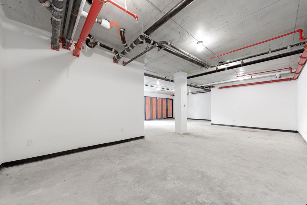 1,000 SF | 134 Erasmus Street | Modern Glass Storefront in Flatbush for Lease