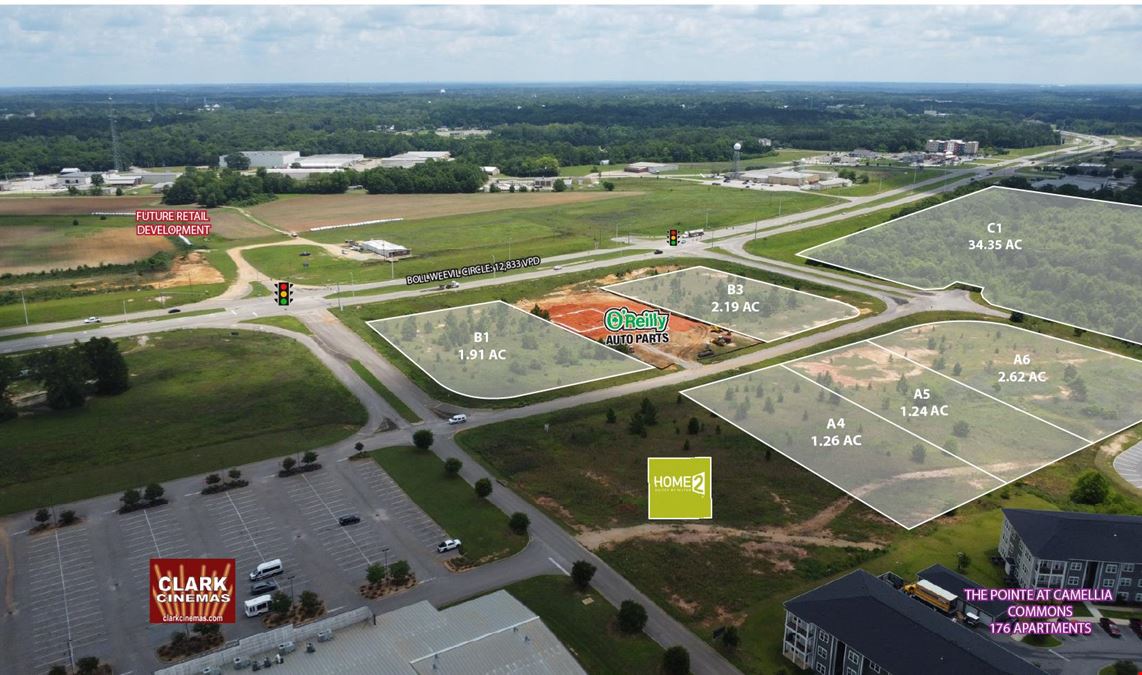 Camellia Commons- Land Available for Sale/Lease