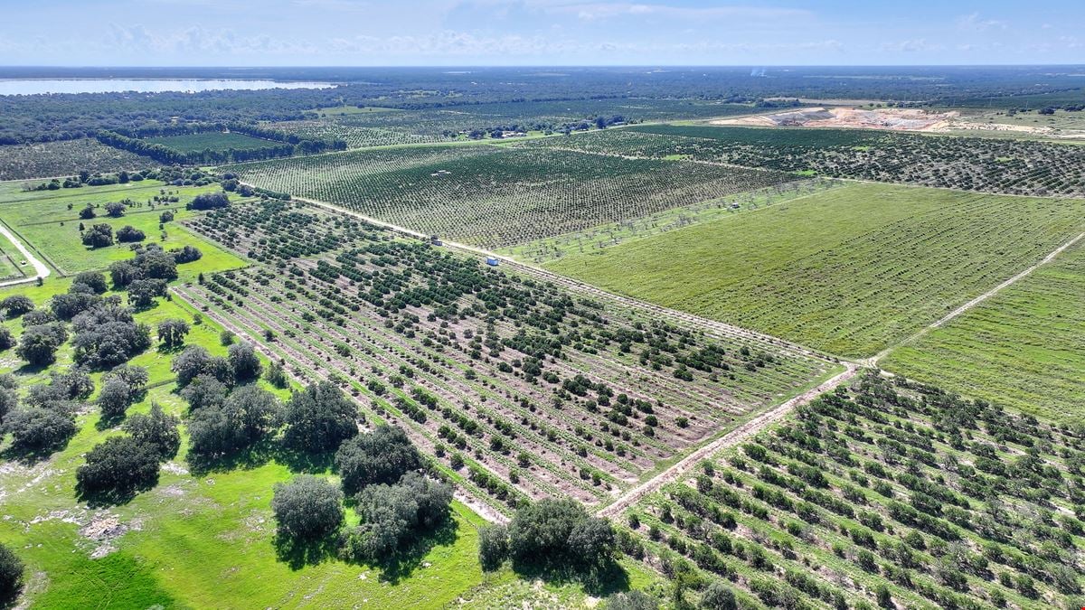 St. Helena Road 20 Acre Grove