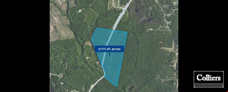 ±111.41-Acre Development Opportunity | Blythewood, SC