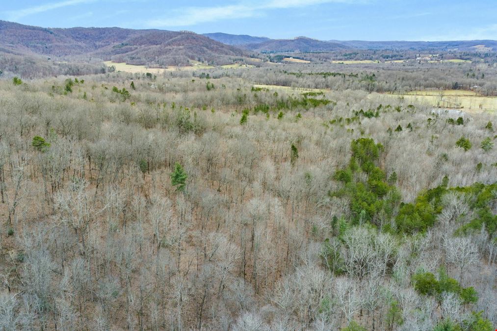 78.08 Acres - Winfield, TN