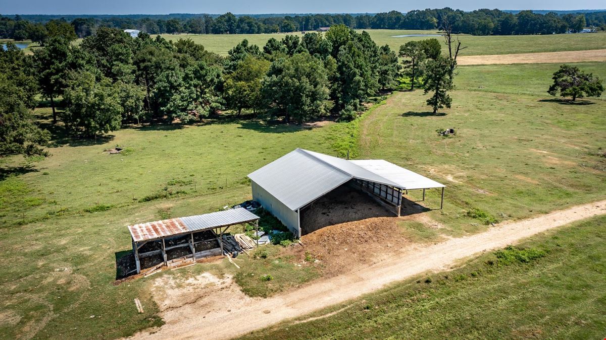 Hope Arkansas Chicken Farm