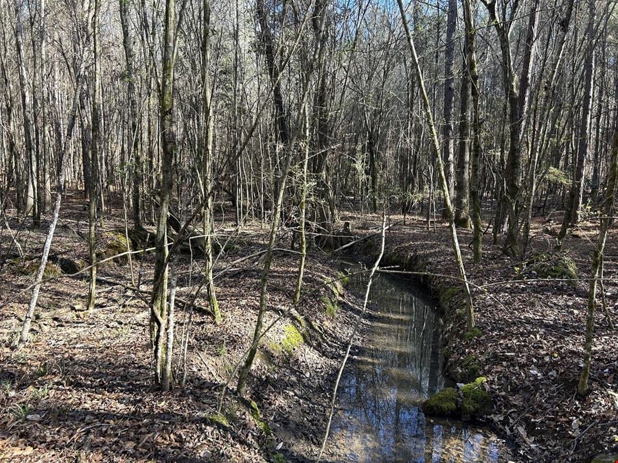Hank Williams Road Hunting and Timber