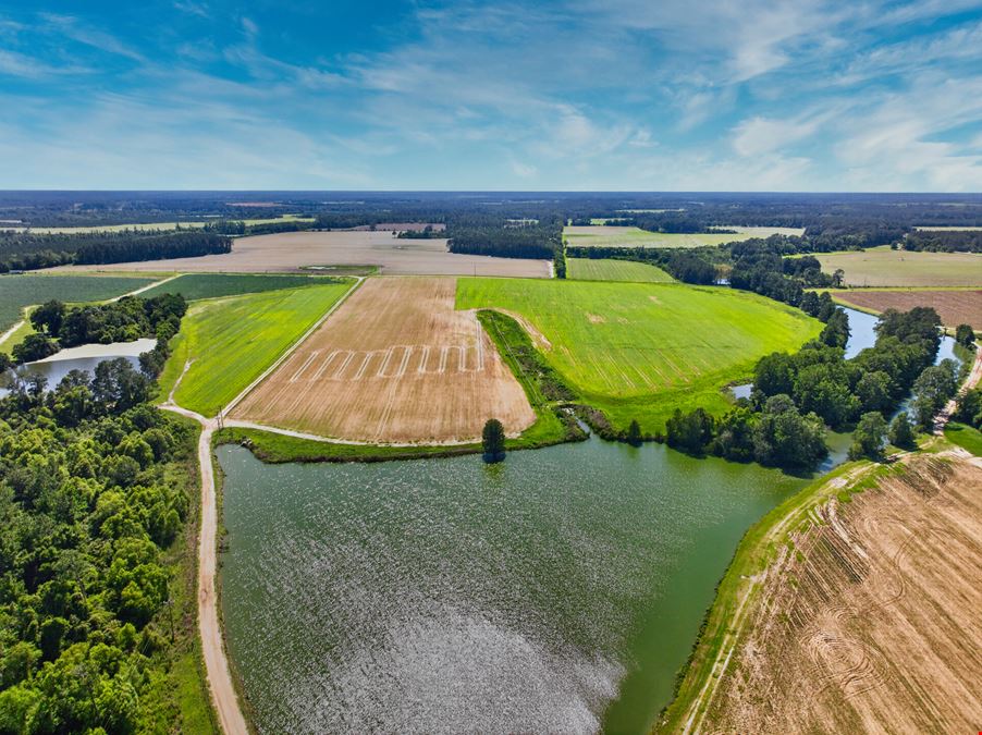 Ellenton Irrigated Farm
