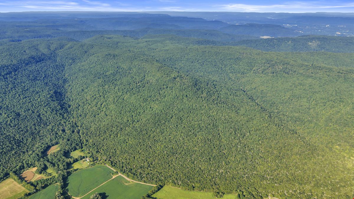 West Dempsey 339 Acres