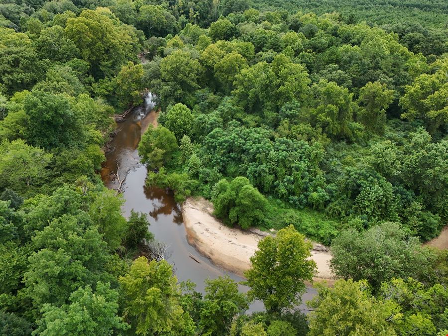 Craig Hill Hunting & Timber Tract