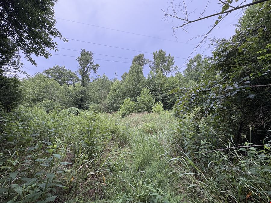 Tract 1 - 50.19± Acres - Knox Ln, Clarksville TN
