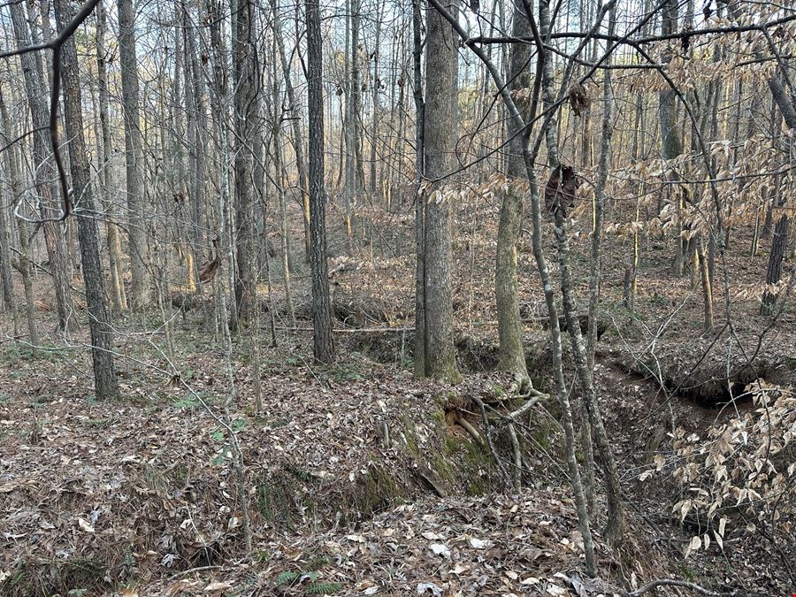 Mt Zion Road - 34.26 Acres