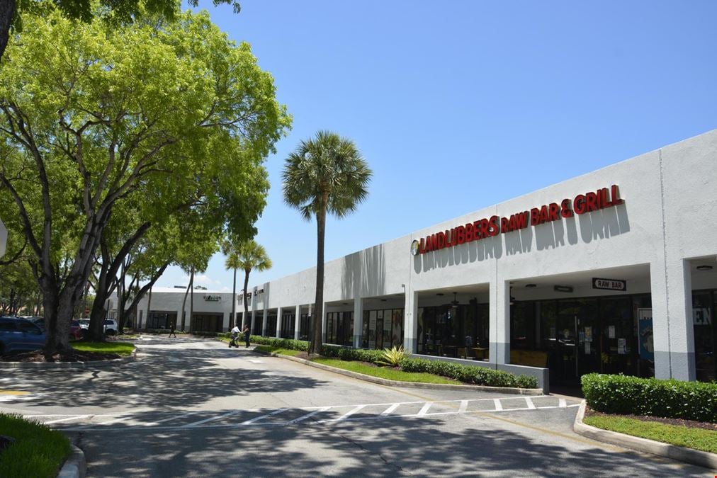 Jacaranda Square