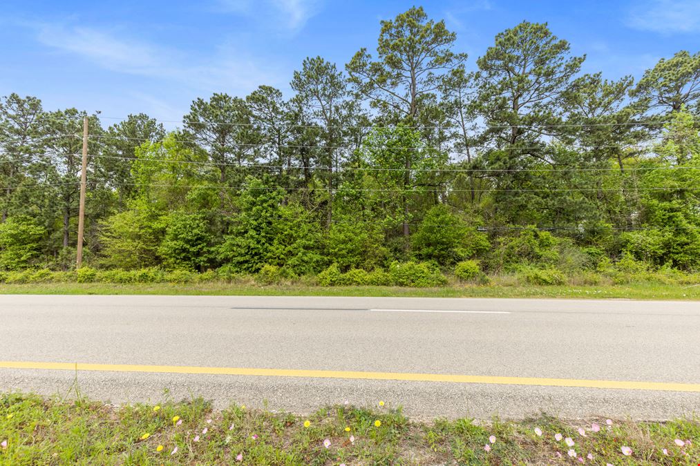 TBD I-45 N Willis, Tx 77318