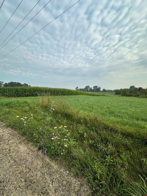 49.86 Acres AG Vacant Land in Chelsea