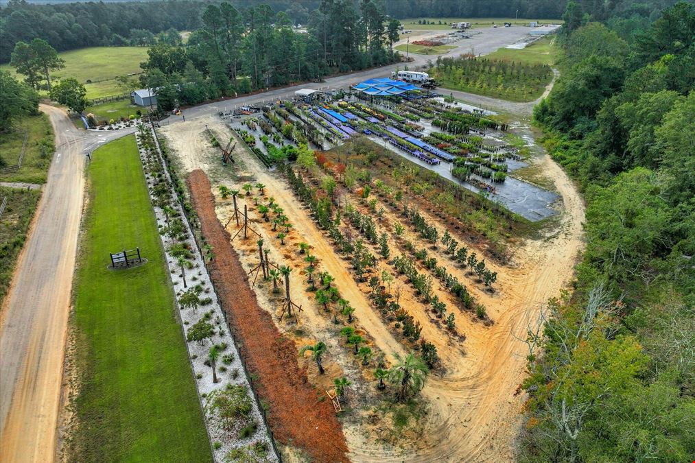 Southern Carolina Palms & More - Nursery & Landscape