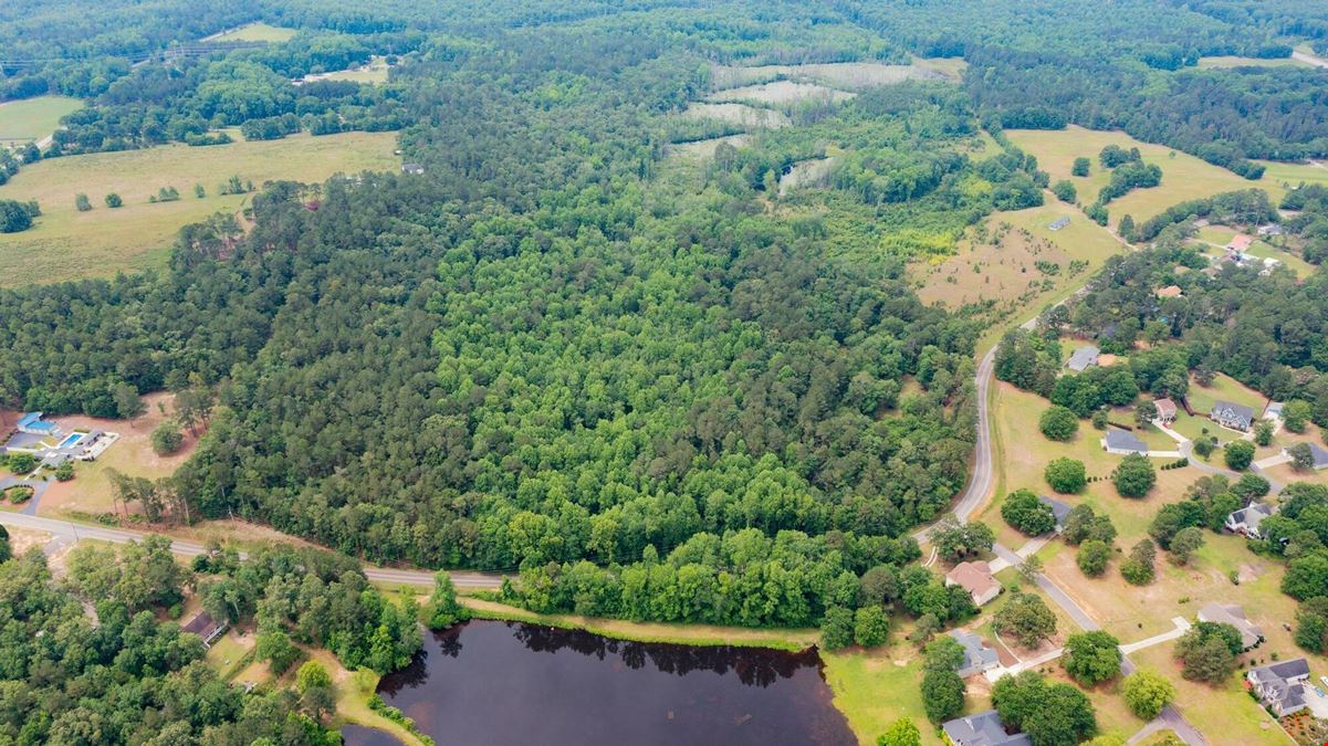 13.75 Acres Undeveloped Land with Timber: Mixed Hardwoods in North Aiken