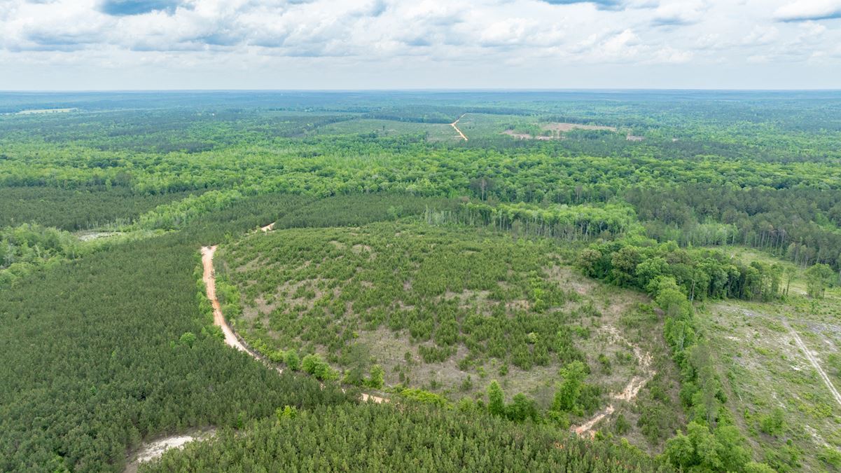 Buck Creek Hunting Property
