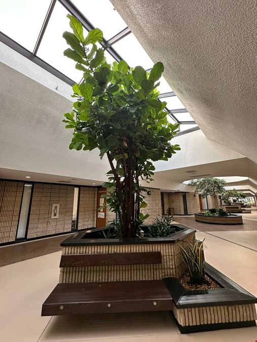 Palms West Medical Condo
