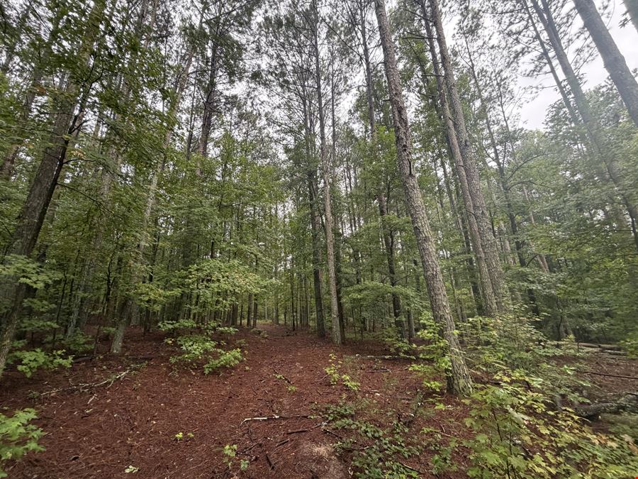 Highway 20 - 131.12 Acres