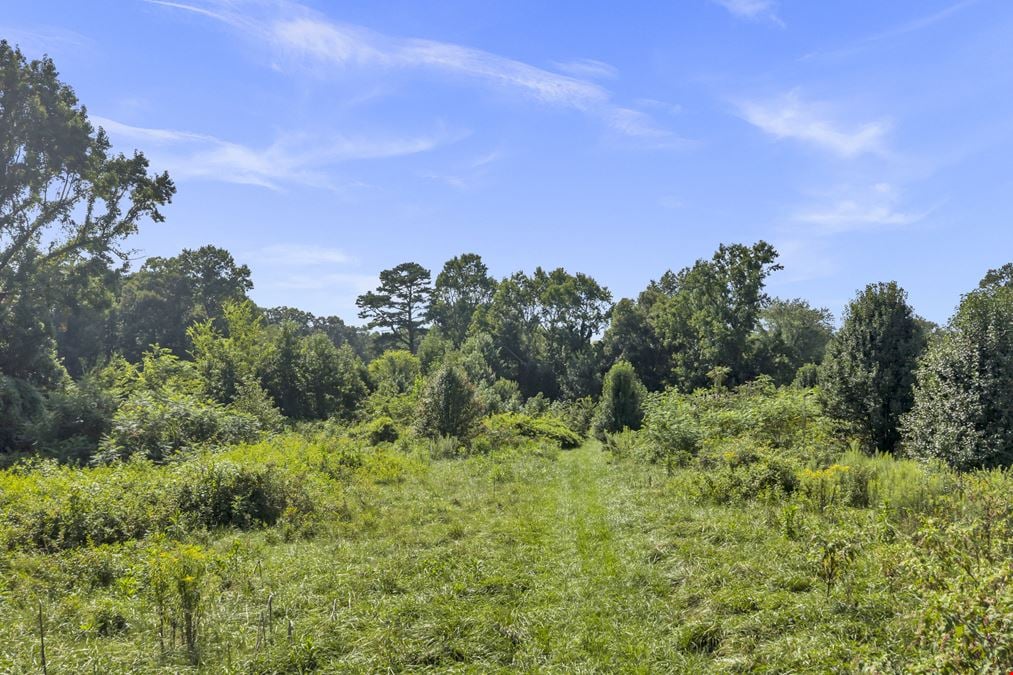 ZGT Farm